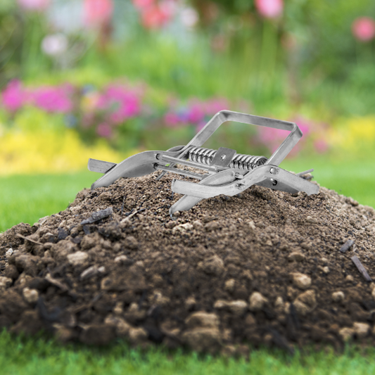 How to Get Rid of Moles in Your Garden: Trap Placement Tips & Best Mole Control Methods