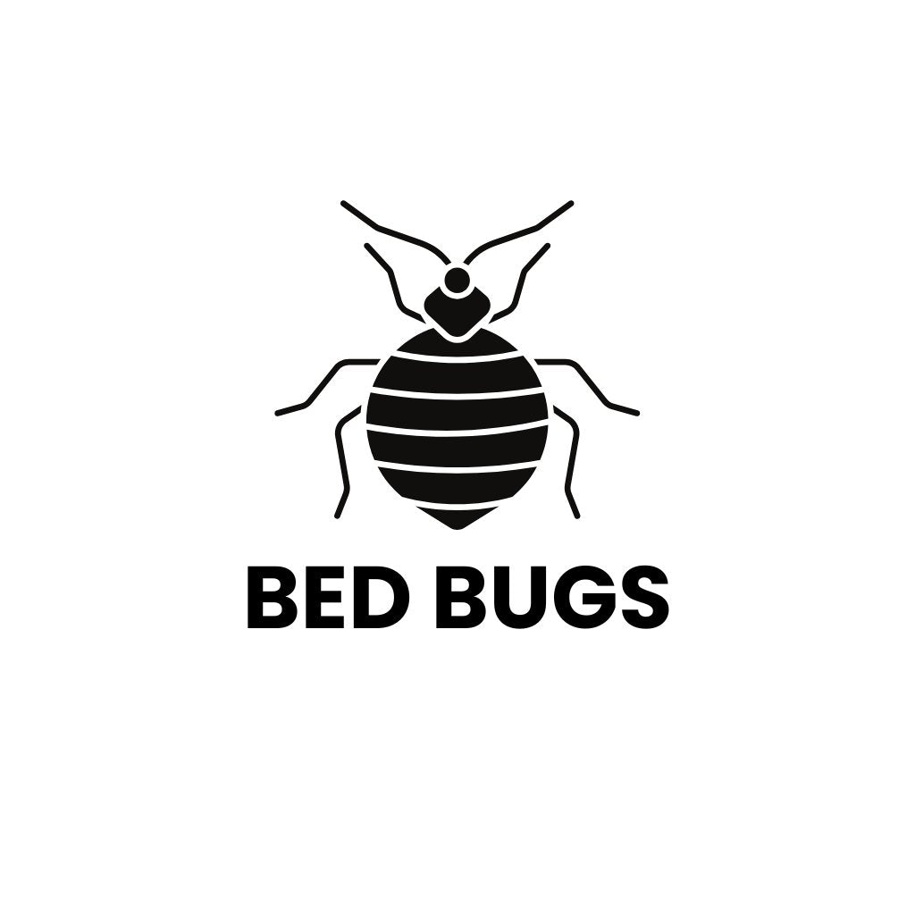 Bed Bug Control