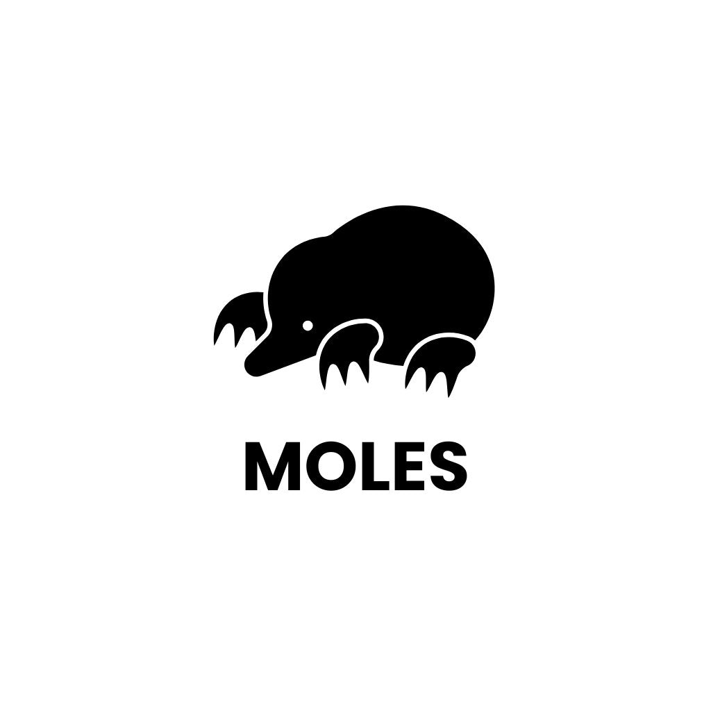 Mole Control