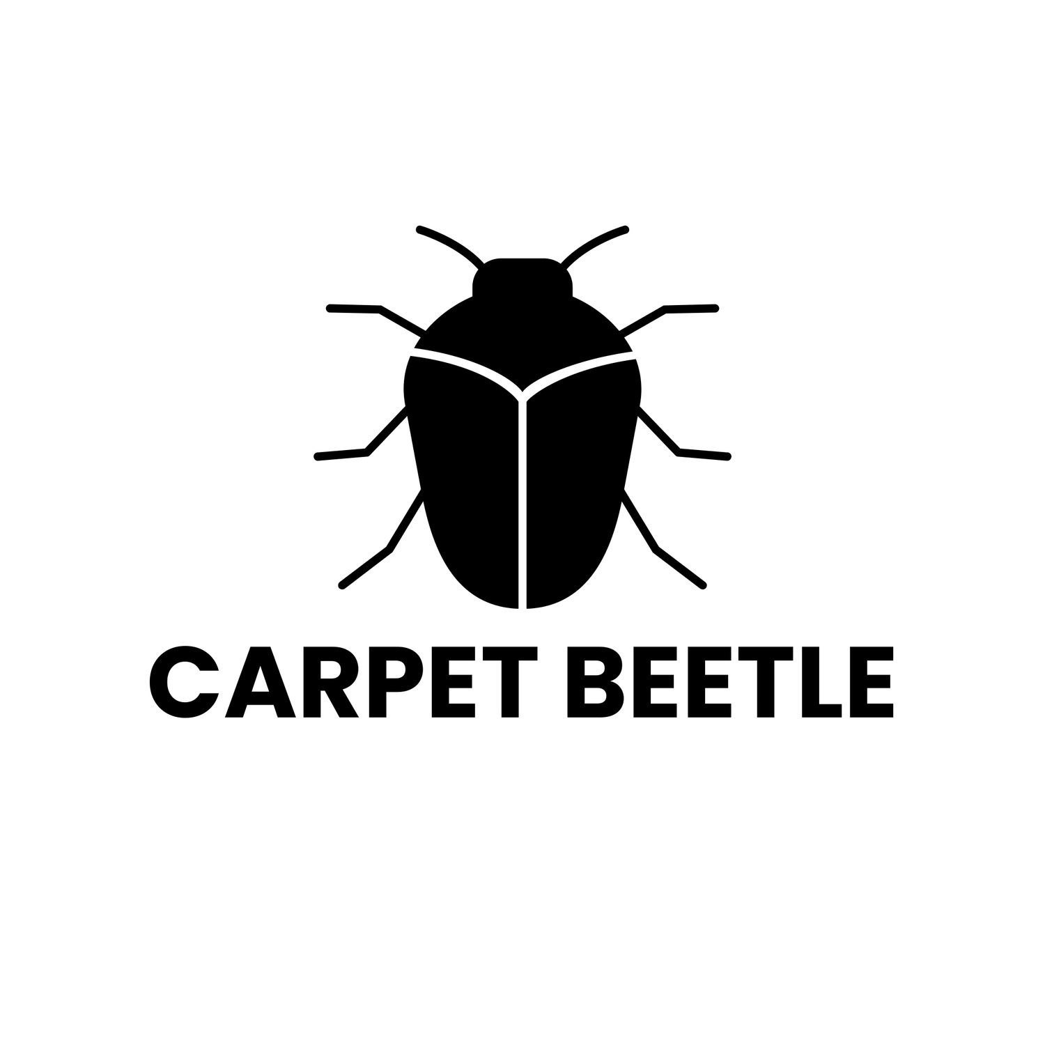 Carpet Beetle Control