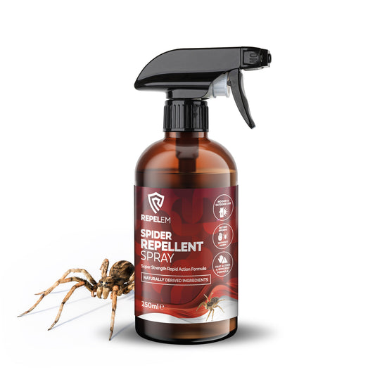 REPELEM Spider Repellent - 250ml
